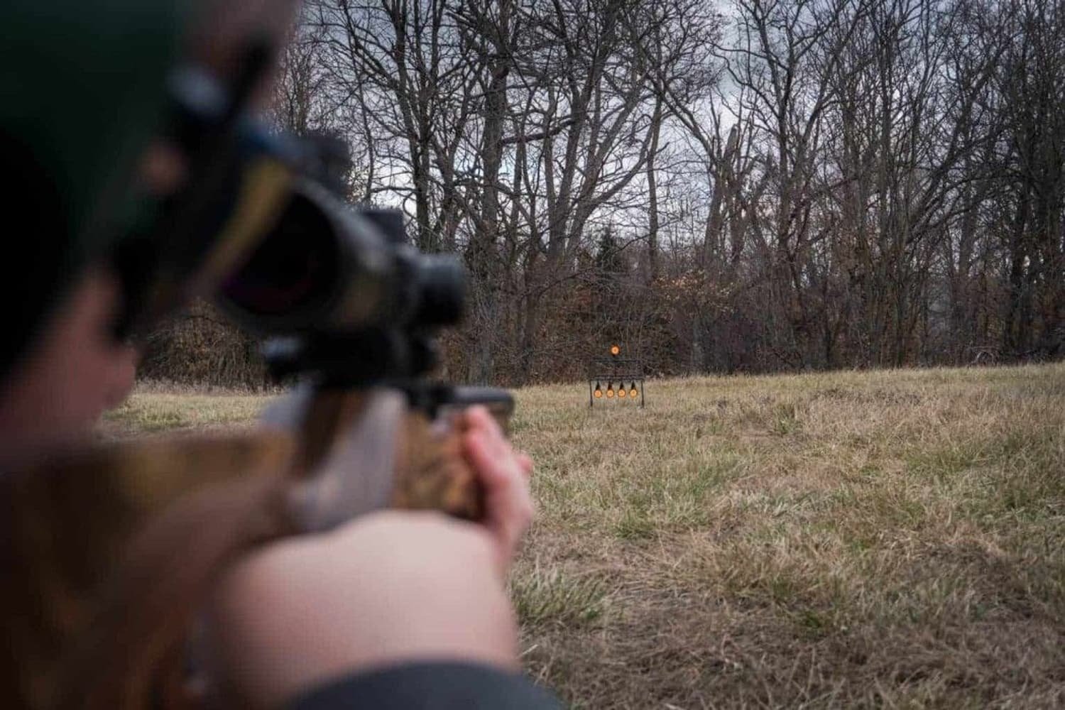 Självmarkerande cal .22-mål, view: 2