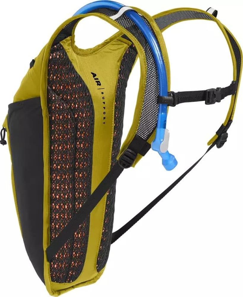 Rogue Light Golden/Black, view: 1