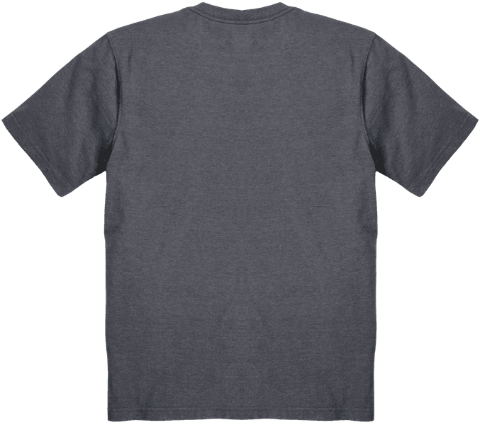 Carhartt M's S/S Script Graphic T-Shirt Carbon Heather, view: 1