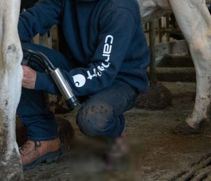 Carhartt M's Sleeve Logo Hooded Sweatshirt Navy, view: 2