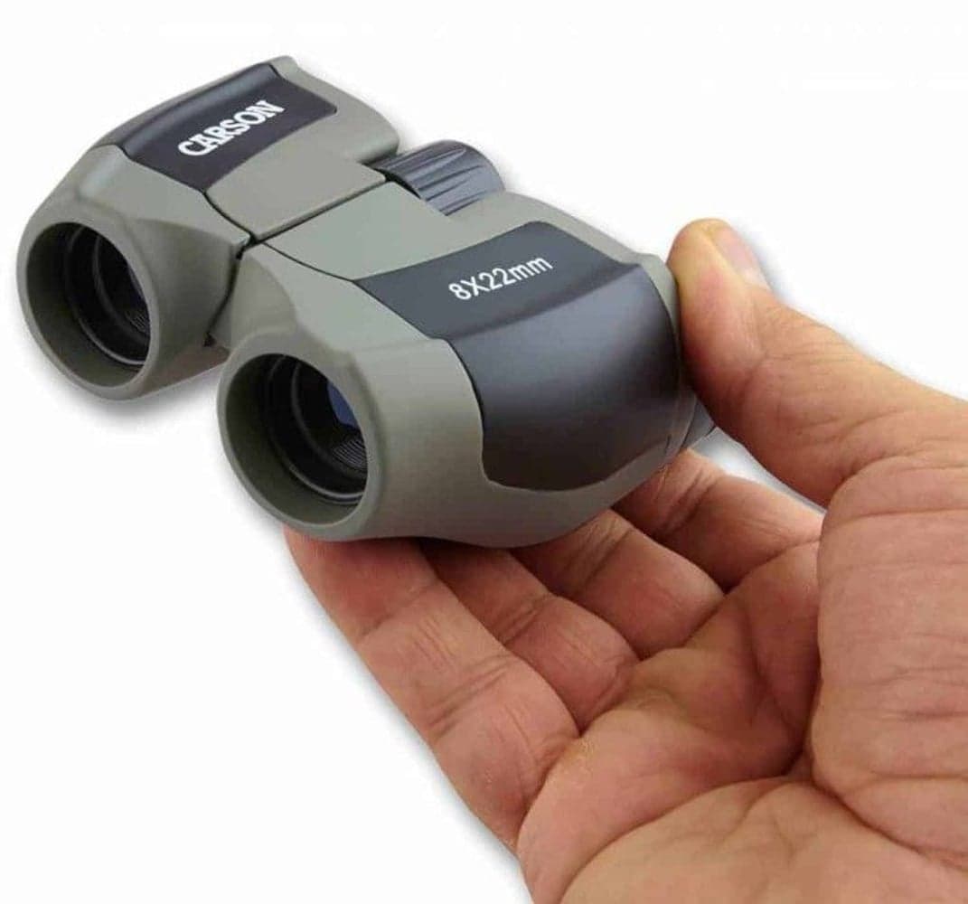 Scout 8x22 mm, view: 2