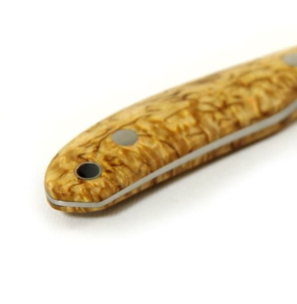 Safari Masur, view: 2