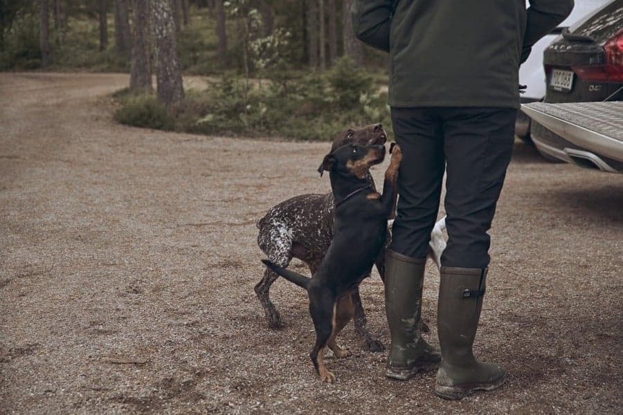 M's River Pants Black, view: 5