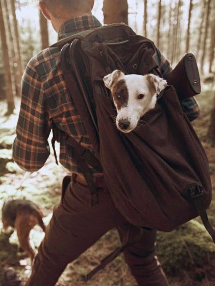 Stone Chair Pack Green, view: 3