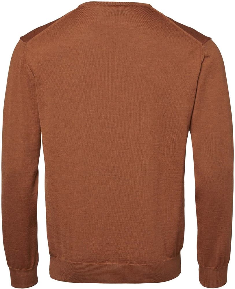 Aston Pullover Men Amber, view: 1