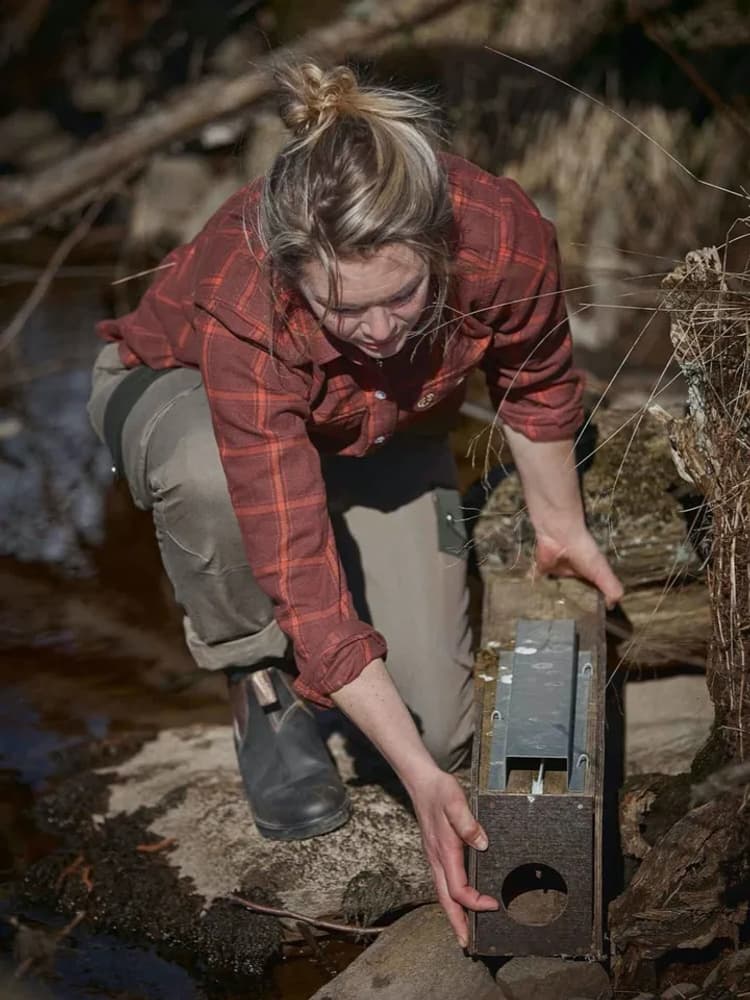 Eagle Flannel Shirt Women Fox Red Checked, view: 1