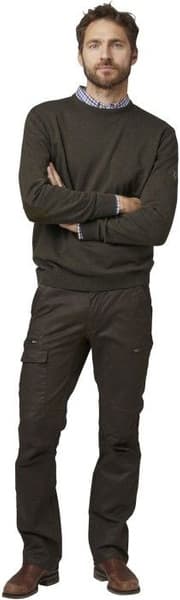 Gaup Cotton Sweater RN Men Brown, view: 1