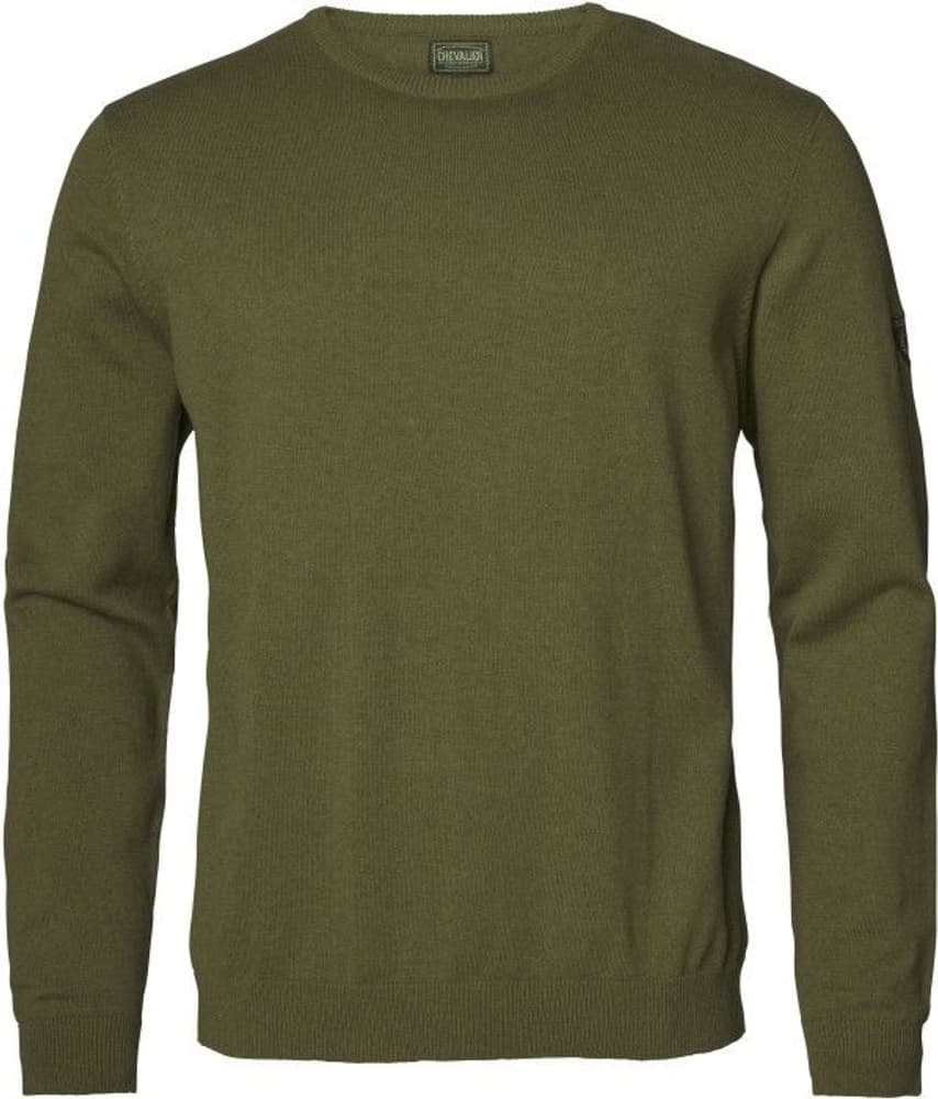 Gaup Cotton Sweater RN Men Green, view: 0
