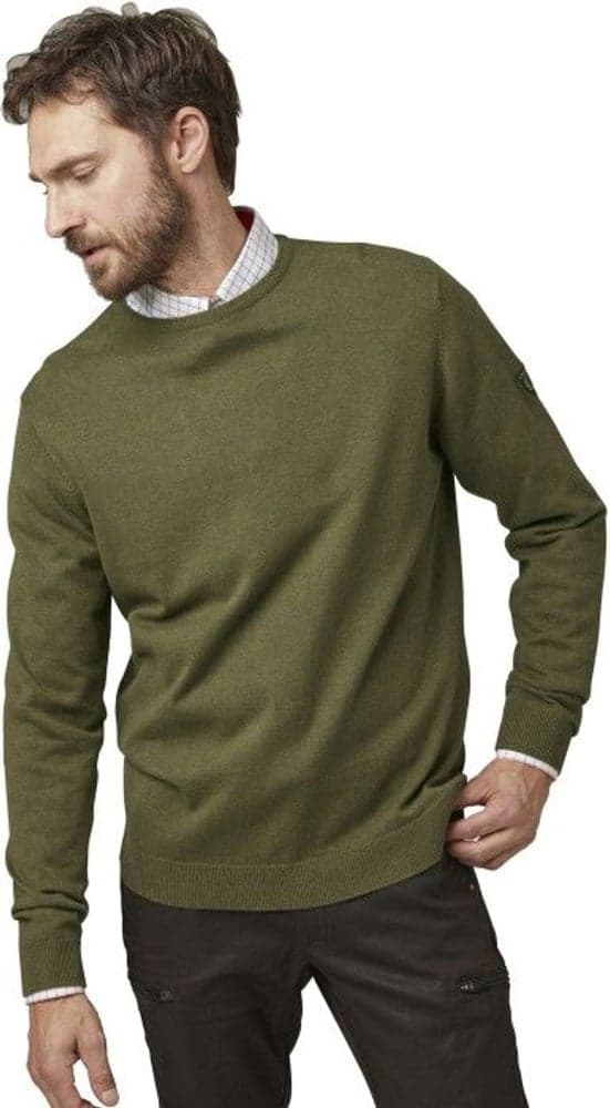 Gaup Cotton Sweater RN Men Green, view: 1