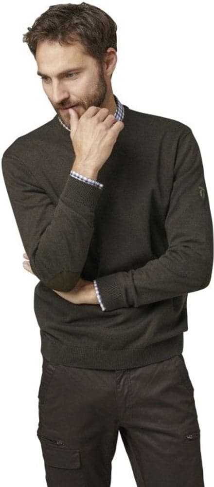 Gaup Cotton Sweater RN Men Brown, view: 3