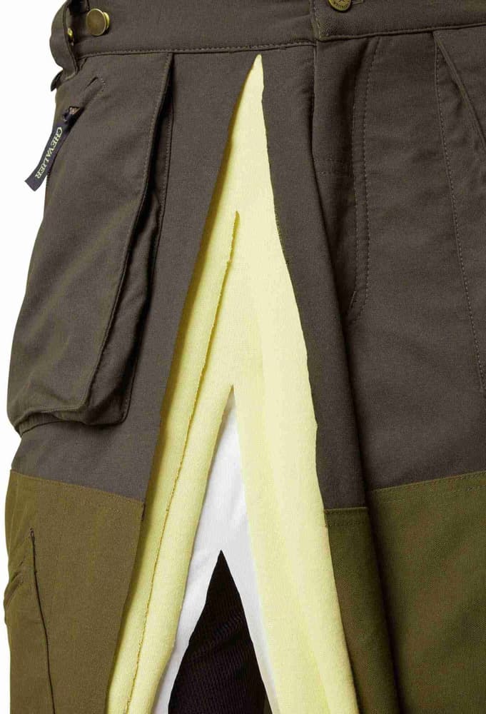 Reinforcement GTX Pants Men Autumn Green, view: 6