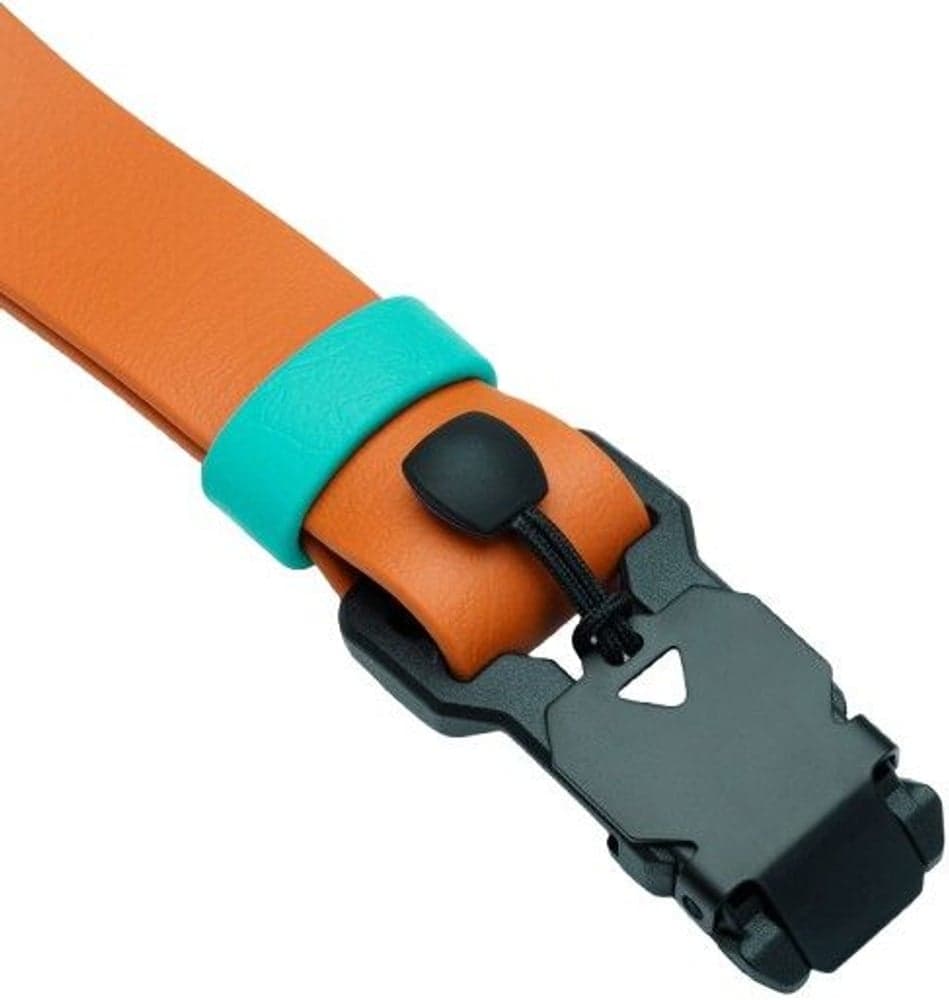 Dog Collar L Ipanema Orange, view: 2