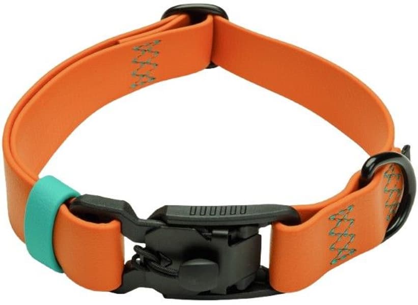 Dog Collar L Ipanema Orange, view: 0
