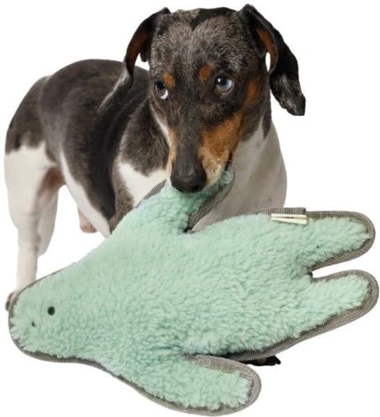 Monster Sam, view: 2