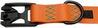 Dog Collar S-M Ipanema Orange - view: 1