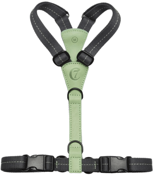 Harness XL-XXL Madeira Mint, view: 1
