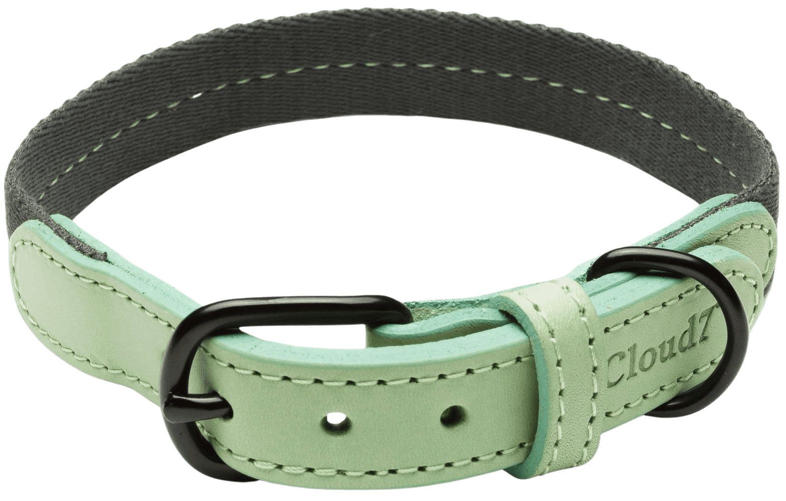 Dog Collar L-XL Madeira Mint, view: 0