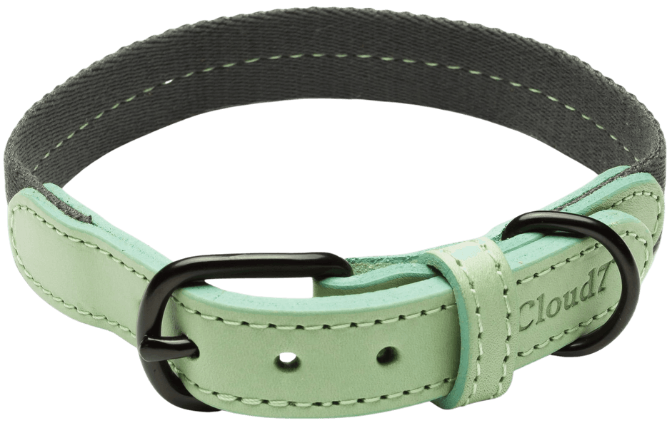 Dog Collar L-XL Madeira Mint, view: 0