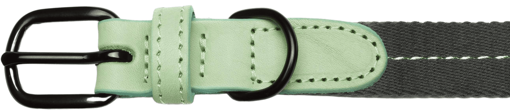 Dog Collar XS-M Madeira Mint, view: 1