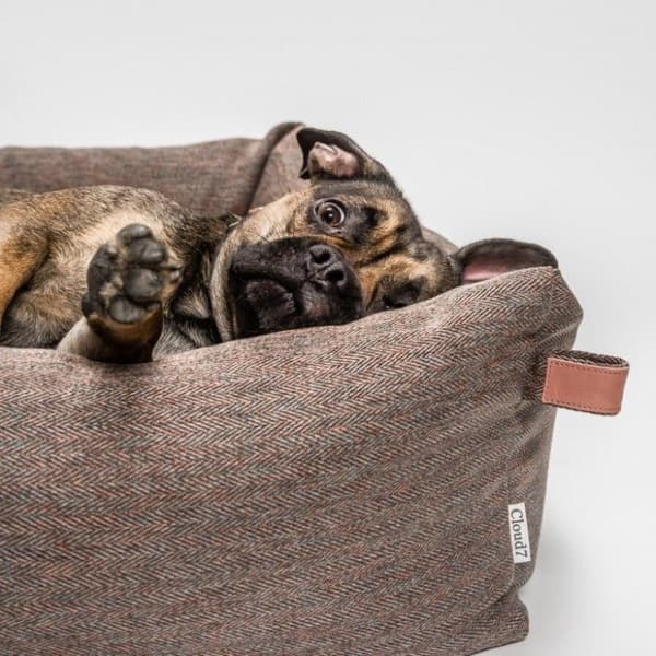 Sleepy Dog Bed S+ Herringbone Brown, view: 4