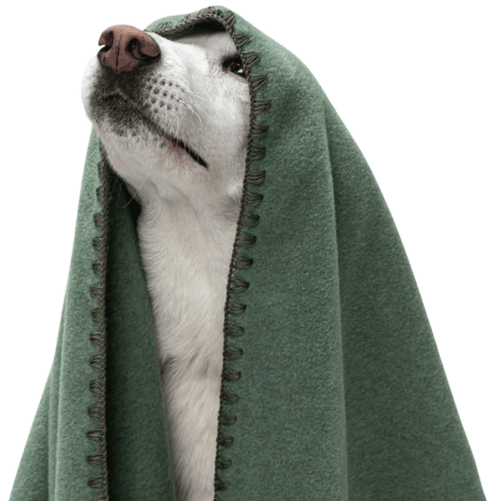 Blanket Fleece M Dusty Green, view: 4