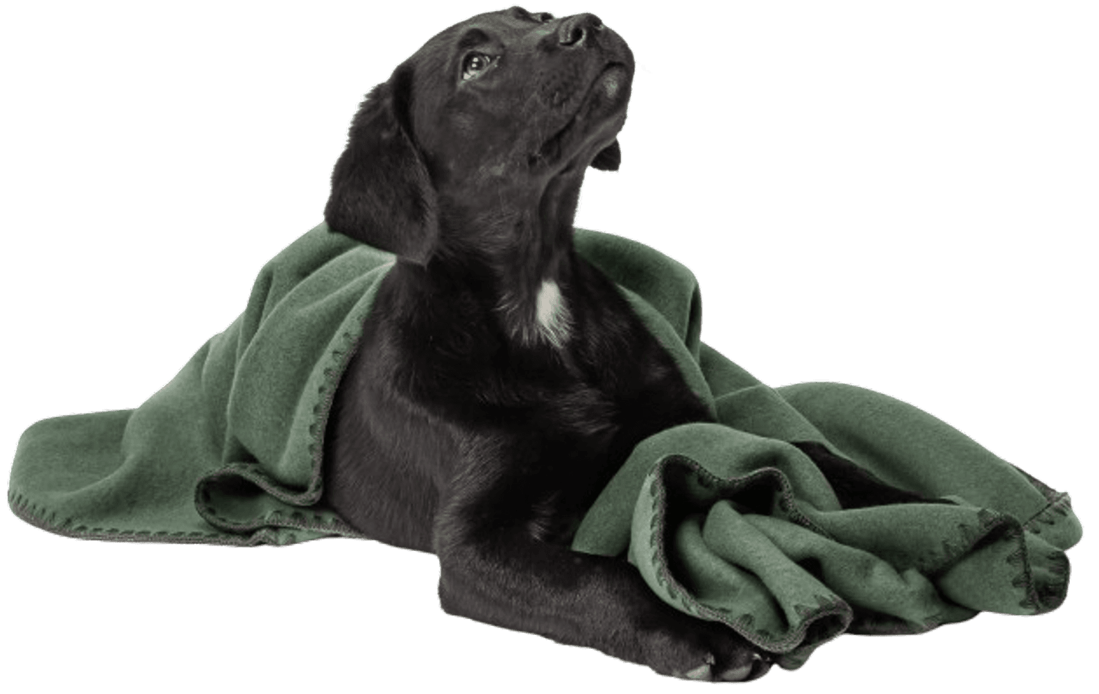 Blanket Fleece S Dusty Green, view: 5