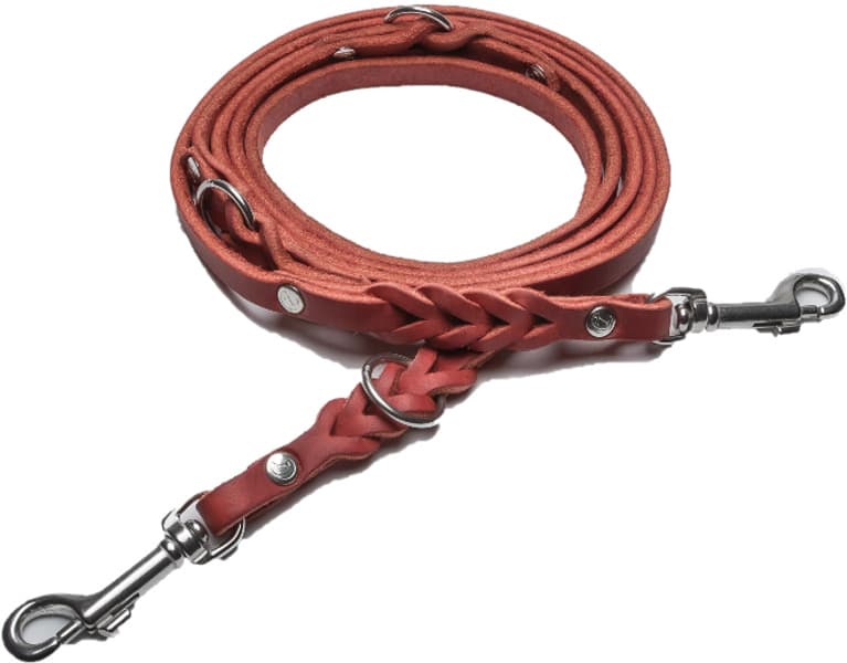 Leash Riverside L Park Merlot, view: 0