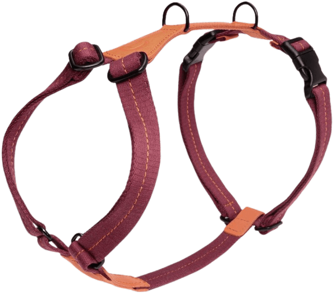 Harness Madeira M-L Papaya, view: 0