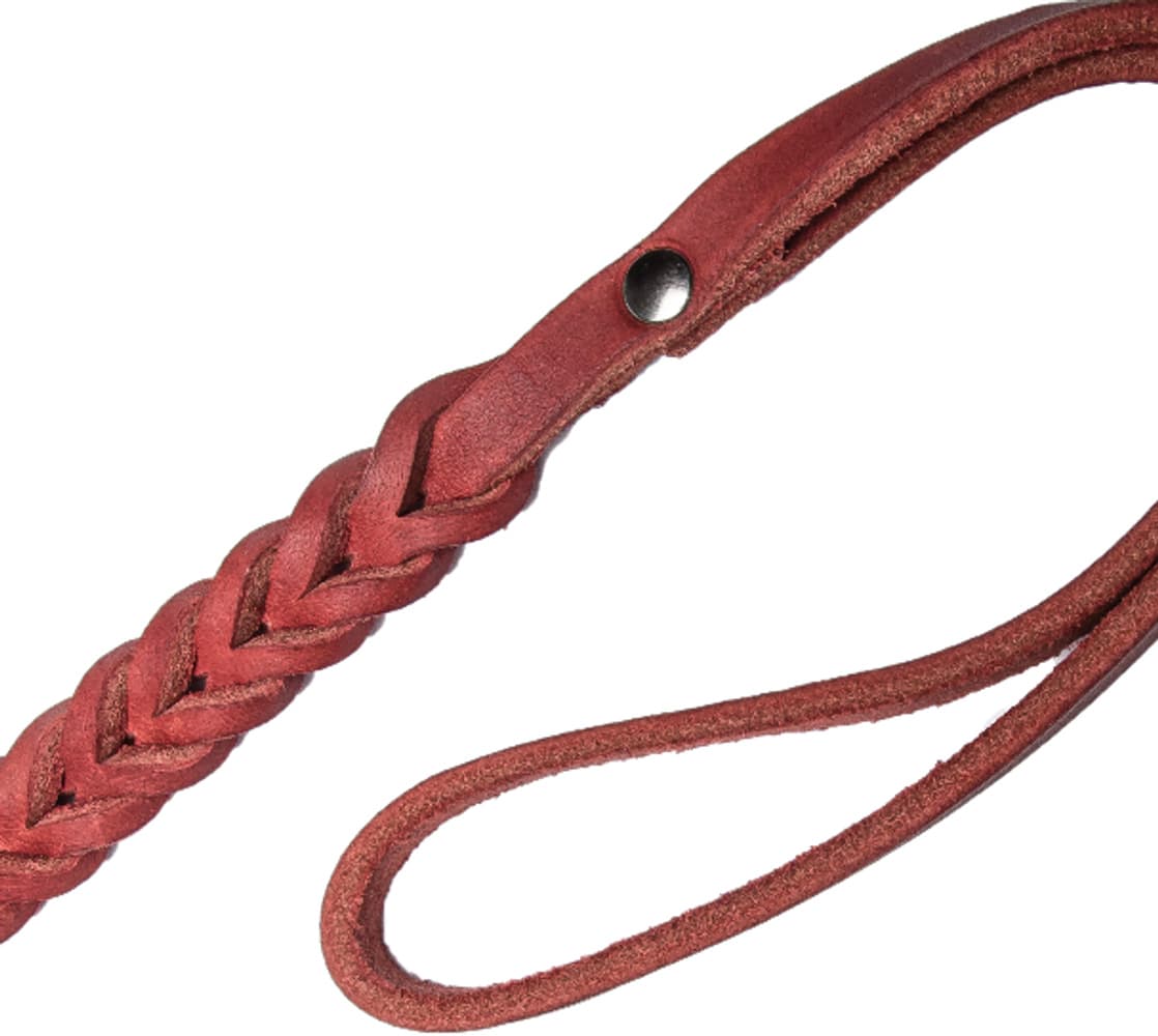 Leash Central ParkS Merlot, view: 2