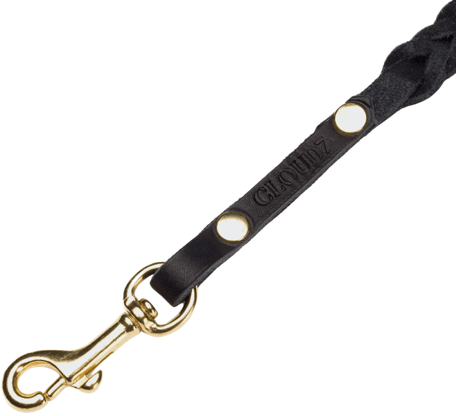 Leash Central Park L Black Gold Braided, view: 1