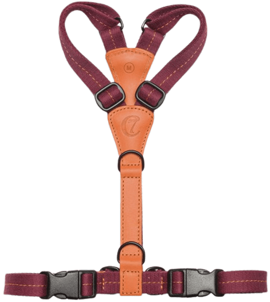 Harness Madeira XS-S Papaya, view: 1