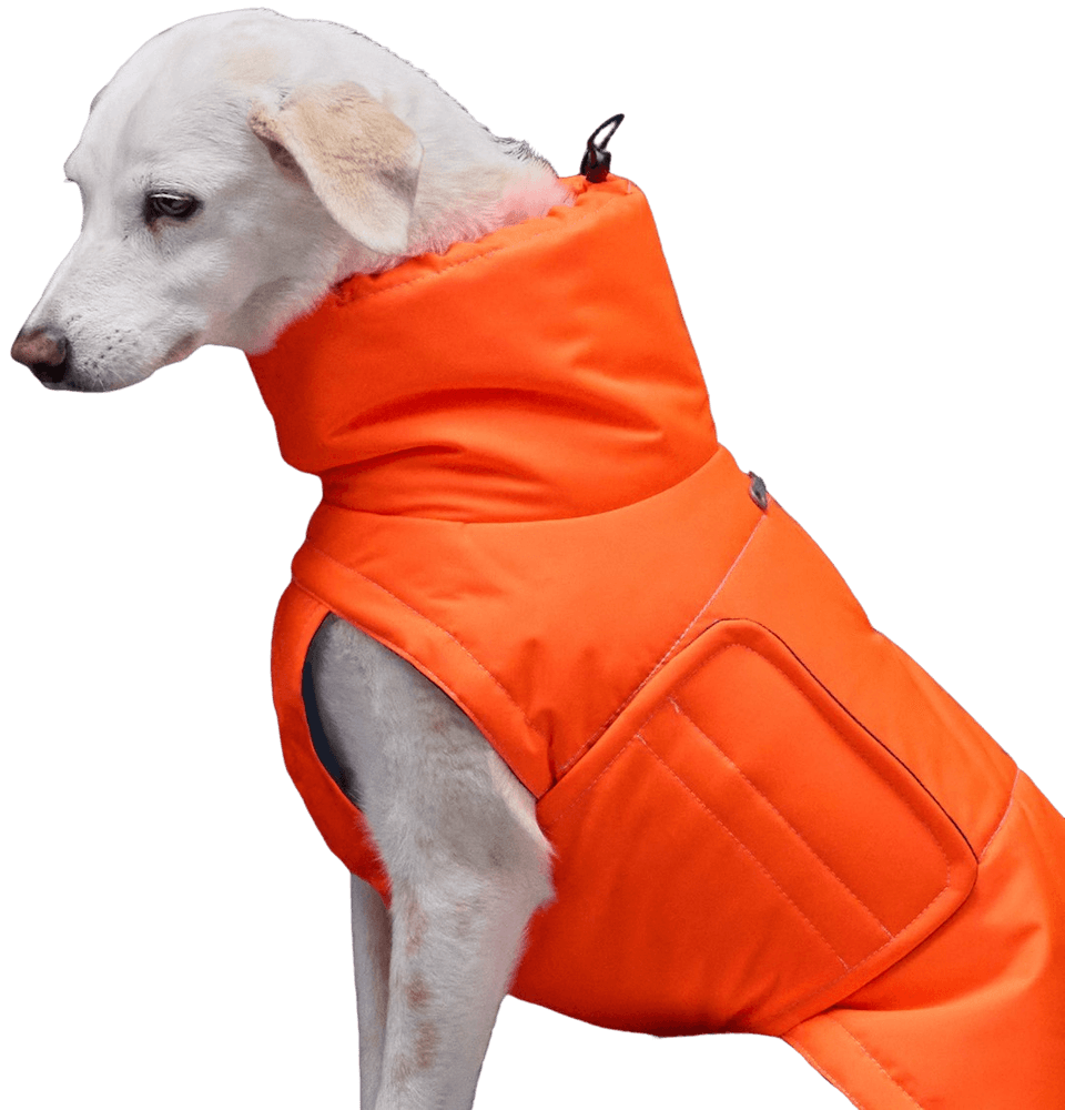 Yukon Dog Coat strl 4-5 Neon Orange, view: 1