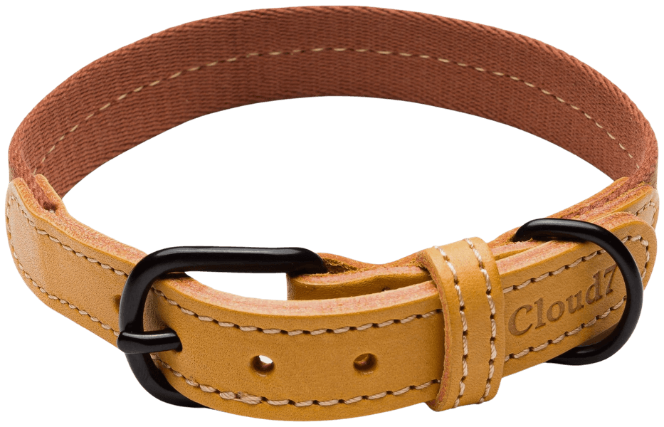Dog Collar Madeira L-XL Ginger, view: 0