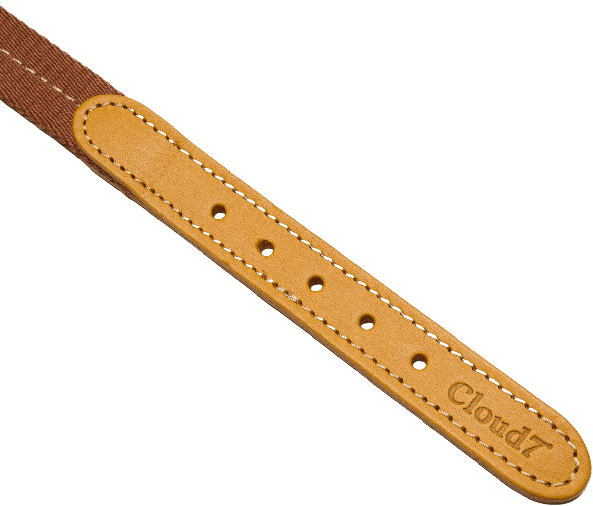 Dog Collar Madeira XS-M Ginger, view: 2