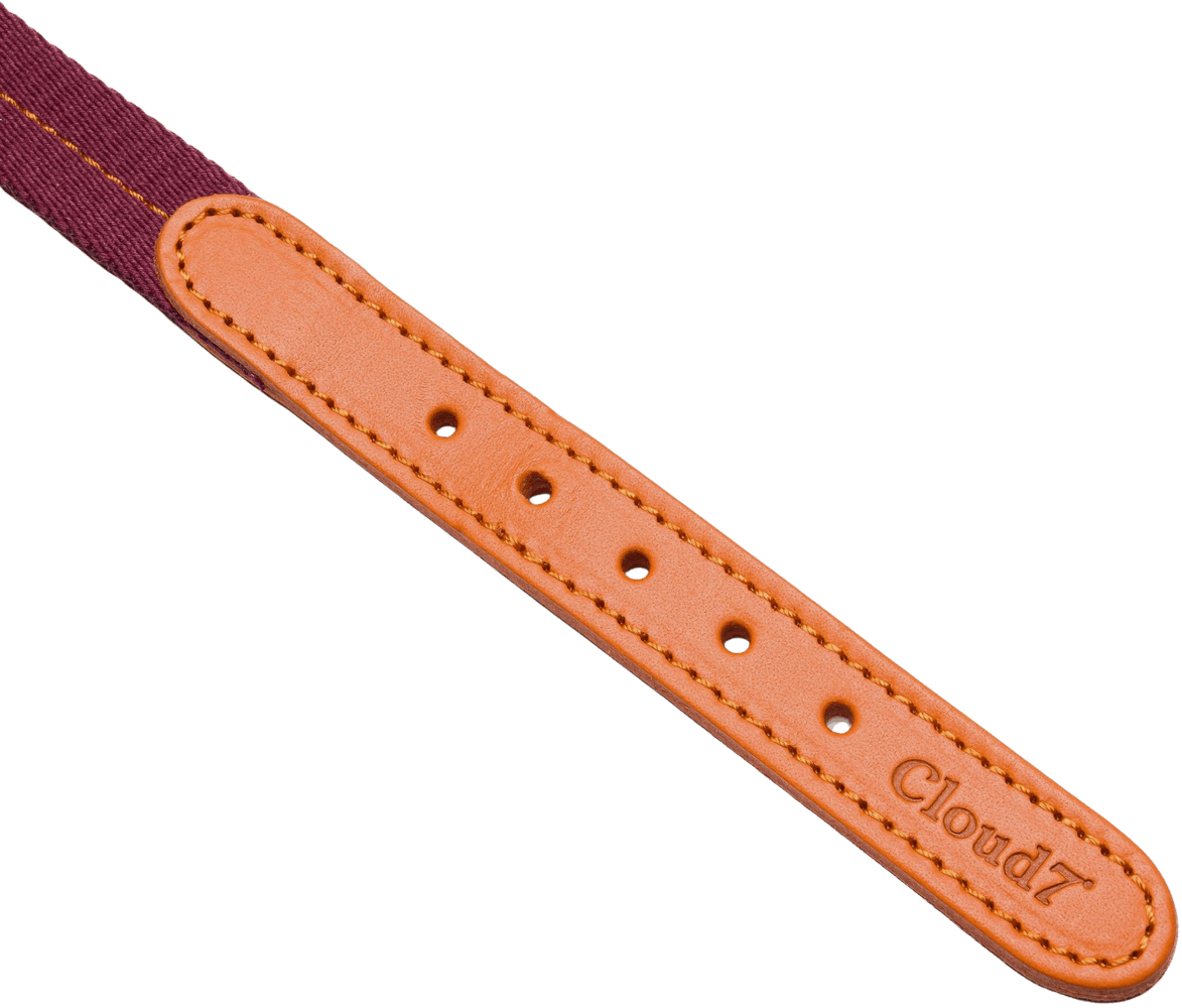 Dog Collar Madeira XS-M Papaya, view: 2