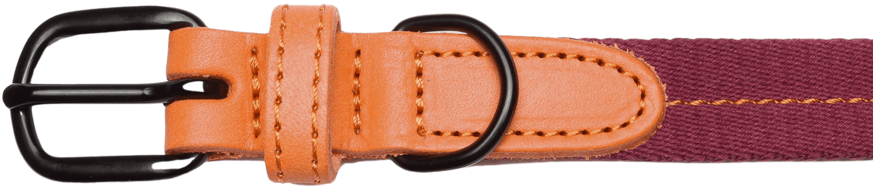 Dog Collar Madeira XS-M Papaya, view: 1
