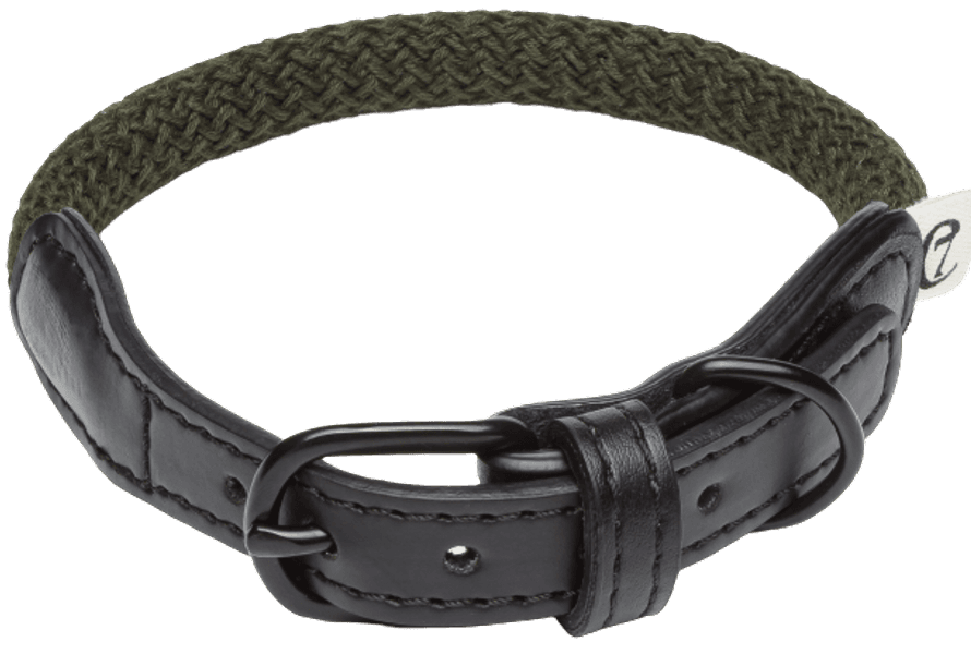 Collar Mauerpark XS-XL Olive, view: 0