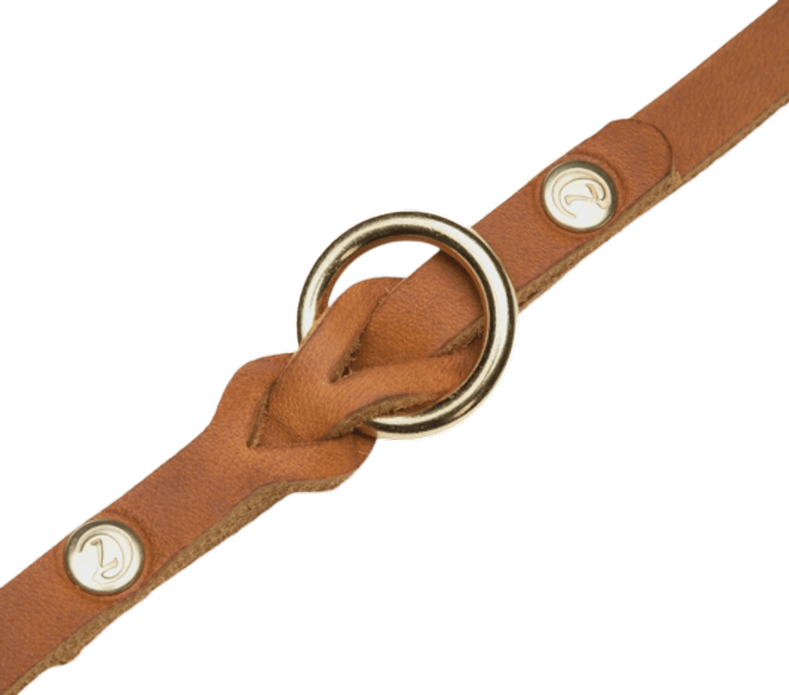 Leash Riverside Park L Camel Gold, view: 2