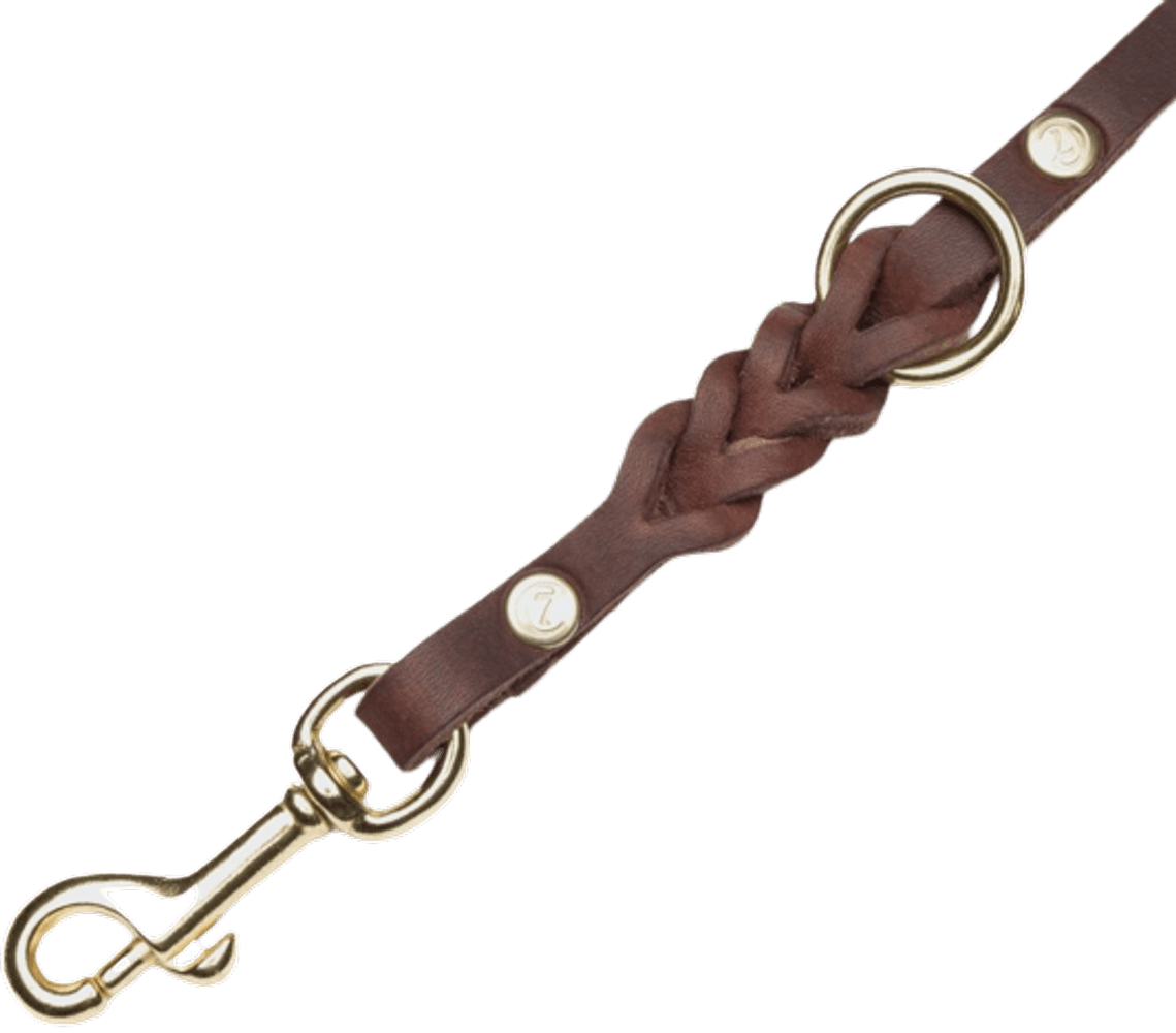 Leash Riverside Park L Saddle Brown Gold, view: 1