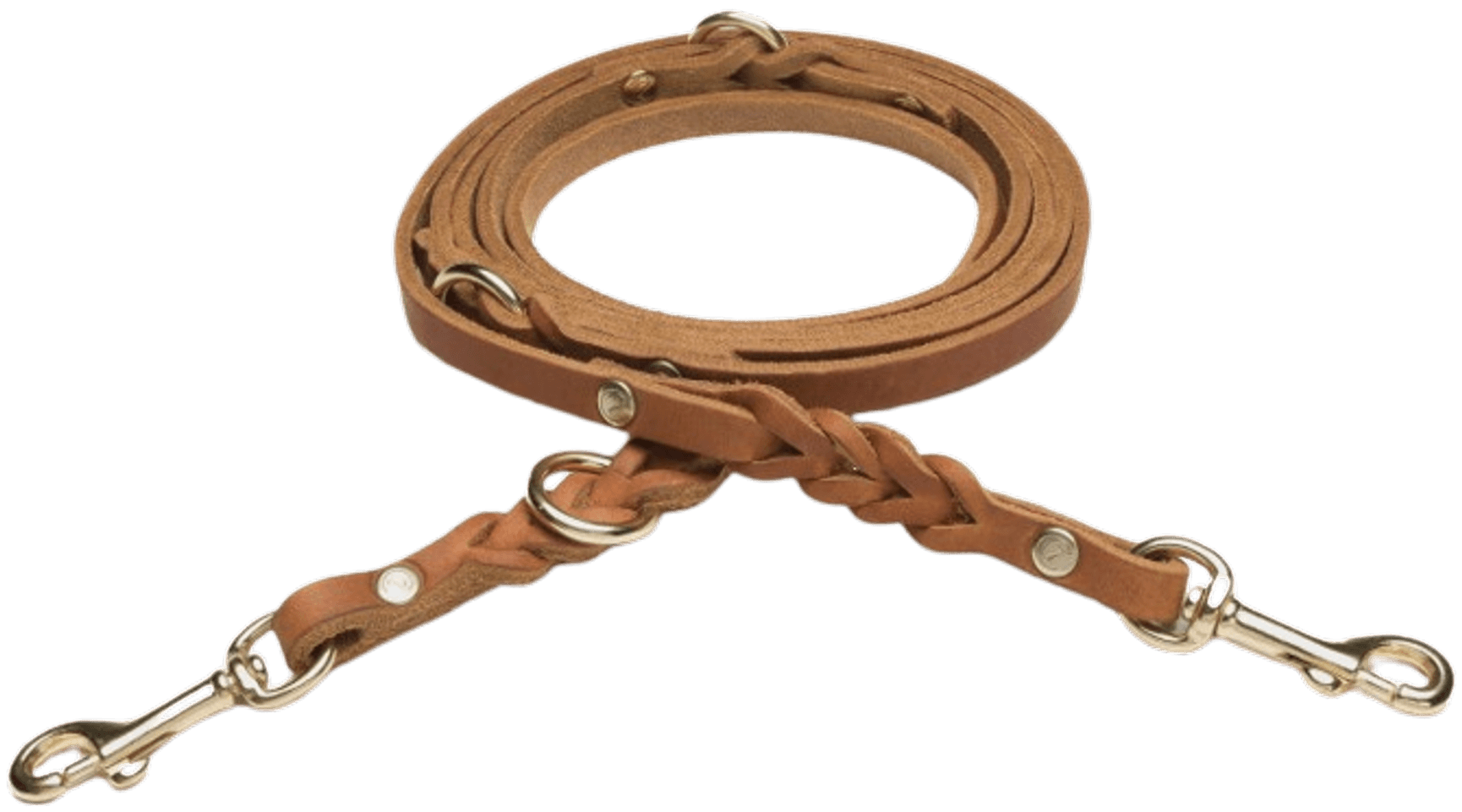 Leash Riverside Park L Camel Gold, view: 0