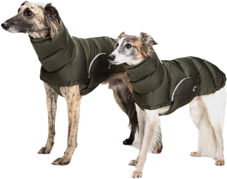 Dog Coat Olive strl 6-10, view: 2