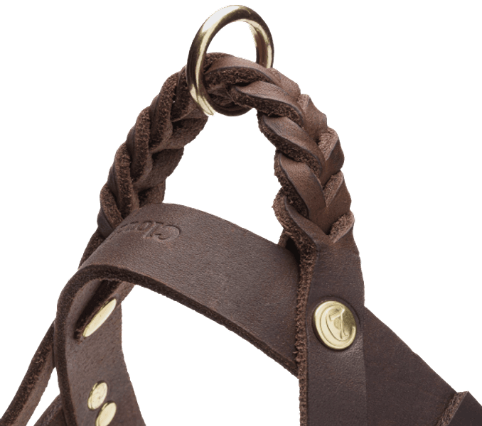 Harness Central Park XL Saddle Brown Gold, view: 2