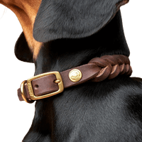 Collar Central Park XS-M Saddle Brown Gold - view: 1