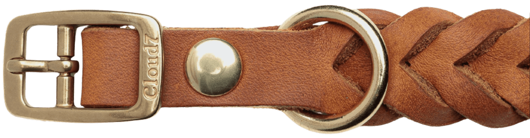 Collar Central Park XS-M Camel Gold, view: 1