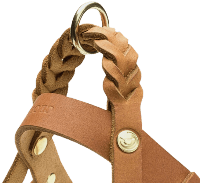 Harness Central Park M-L Camel Gold, view: 2