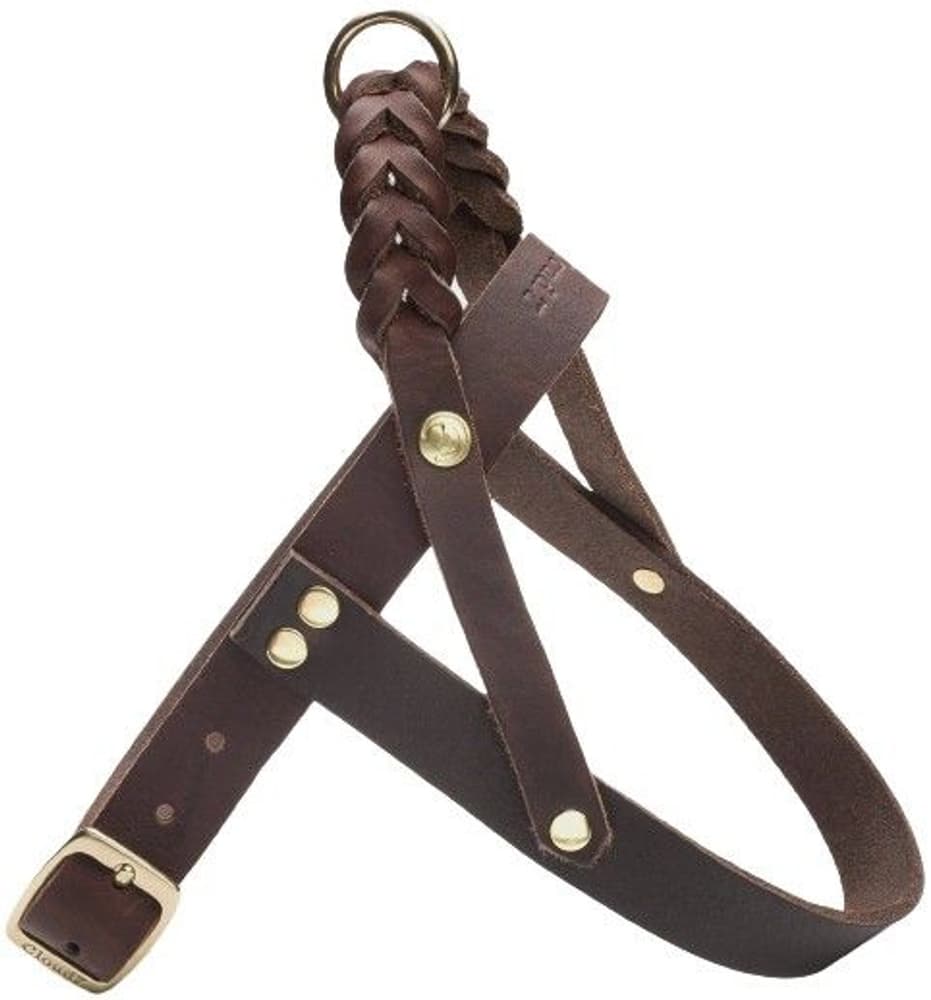 Harness Central Park XS-S Saddle Brown Gold, view: 1
