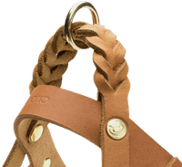 Harness Central Park XS-S Camel Gold - view: 2