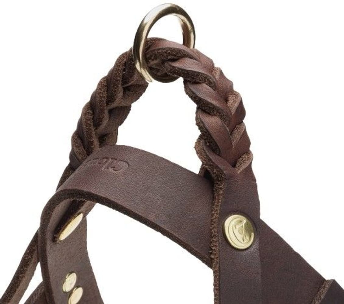 Harness Central Park XS-S Saddle Brown Gold, view: 2