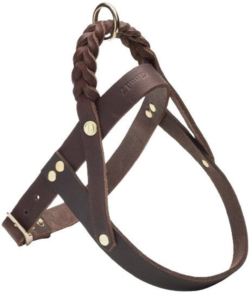 Harness Central Park XS-S Saddle Brown Gold, view: 0