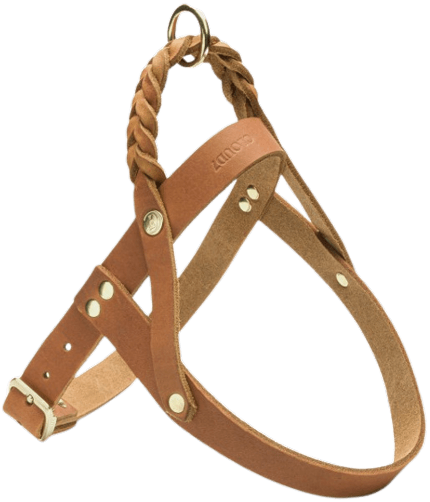 Harness Central Park XS-S Camel Gold, view: 0